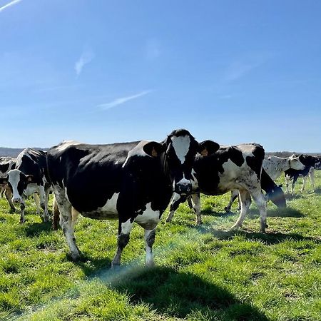 Chambre A La Ferme Precy-le-Sec Экстерьер фото
